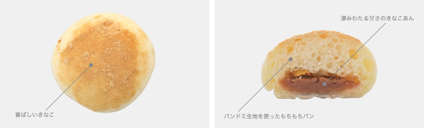 写真：もっちりきなこ