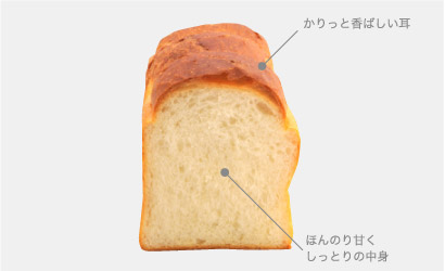写真：パンドミ
